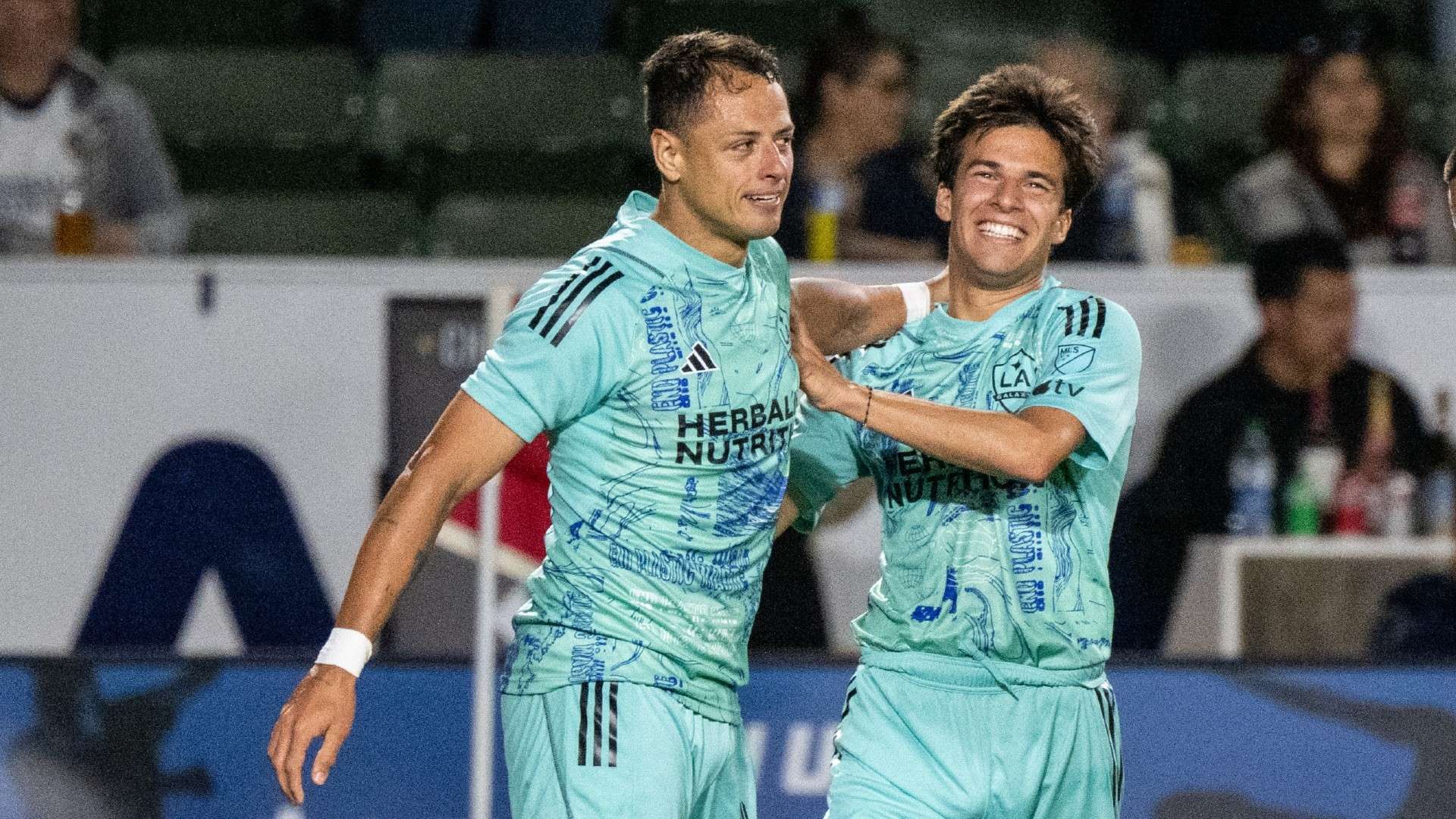 各个项目中 各个项目中